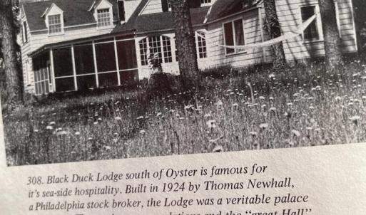 Photo #34 of 5445 MILFORD RD, CAPE CHARLES, VA 5.4 acres