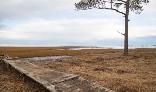 Photo #86 of 5445 MILFORD RD, CAPE CHARLES, VA 5.4 acres