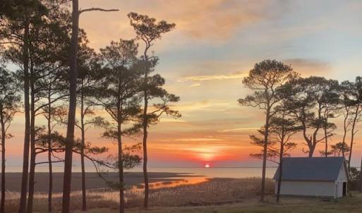 Photo #97 of 5445 MILFORD RD, CAPE CHARLES, VA 5.4 acres