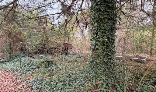 Photo #17 of 35483 WALTER ST, QUINBY, VA 4.1 acres