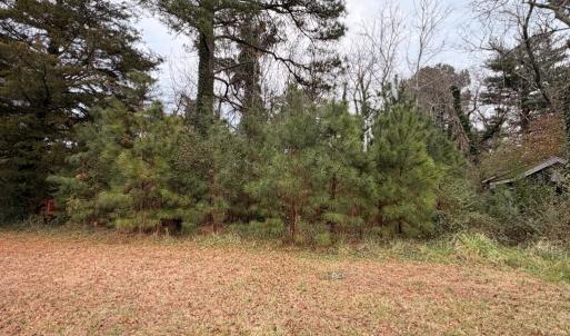 Photo #20 of 35483 WALTER ST, QUINBY, VA 4.1 acres