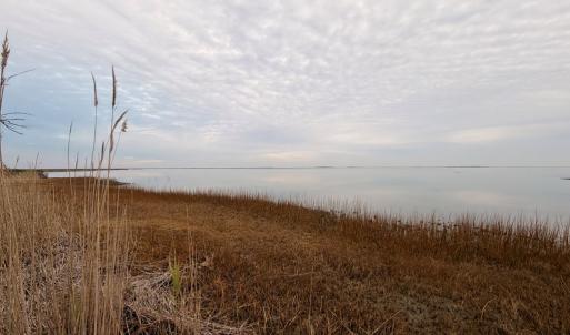 Photo #23 of 35483 WALTER ST, QUINBY, VA 4.1 acres