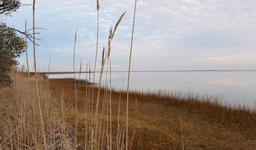 Photo #26 of 35483 WALTER ST, QUINBY, VA 4.1 acres