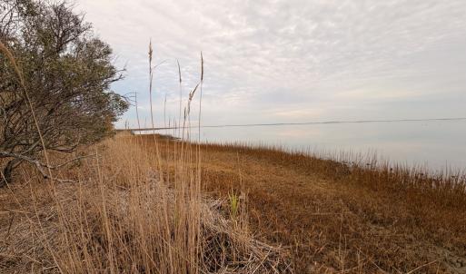 Photo #27 of 35483 WALTER ST, QUINBY, VA 4.1 acres