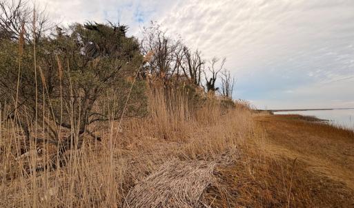 Photo #29 of 35483 WALTER ST, QUINBY, VA 4.1 acres