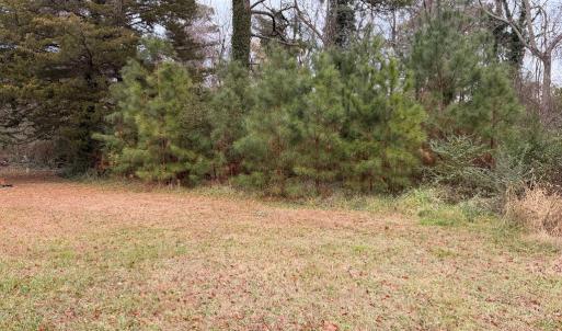 Photo #14 of 35483 WALTER ST, QUINBY, VA 4.1 acres