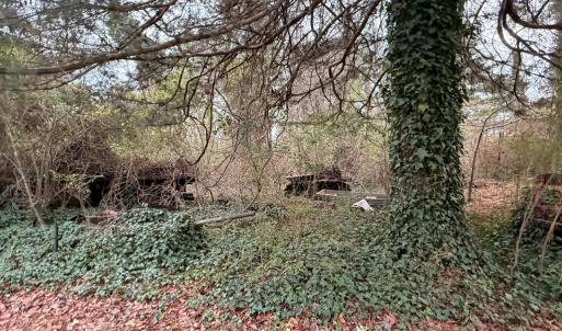 Photo #19 of 35483 WALTER ST, QUINBY, VA 4.1 acres