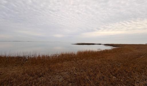 Photo #24 of 35483 WALTER ST, QUINBY, VA 4.1 acres