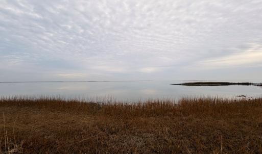 Photo #25 of 35483 WALTER ST, QUINBY, VA 4.1 acres