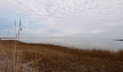 Photo #28 of 35483 WALTER ST, QUINBY, VA 4.1 acres