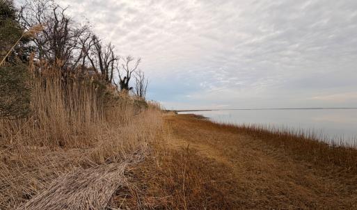 Photo #30 of 35483 WALTER ST, QUINBY, VA 4.1 acres