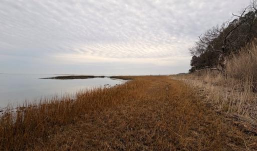 Photo #31 of 35483 WALTER ST, QUINBY, VA 4.1 acres