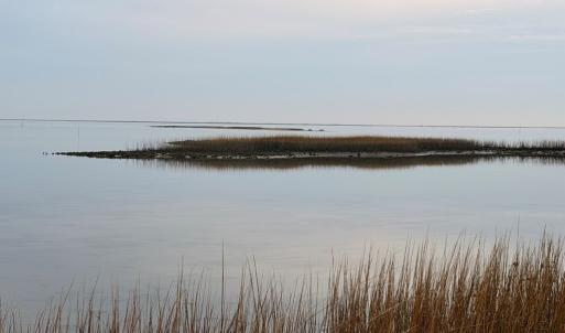 Photo #32 of 35483 WALTER ST, QUINBY, VA 4.1 acres