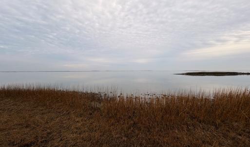 Photo #33 of 35483 WALTER ST, QUINBY, VA 4.1 acres