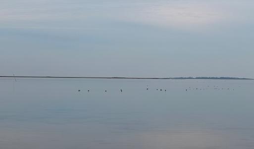 Photo #34 of 35483 WALTER ST, QUINBY, VA 4.1 acres