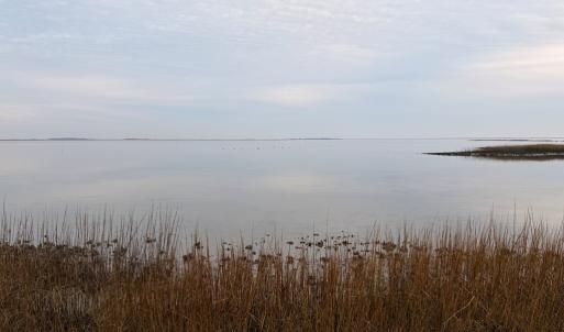 Photo #35 of 35483 WALTER ST, QUINBY, VA 4.1 acres