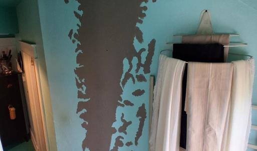 Photo #19 of 17248 MAIN ST, PAINTER, VA 0.8 acres