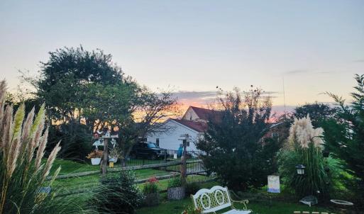 Backyard in Bloom/Sunsets