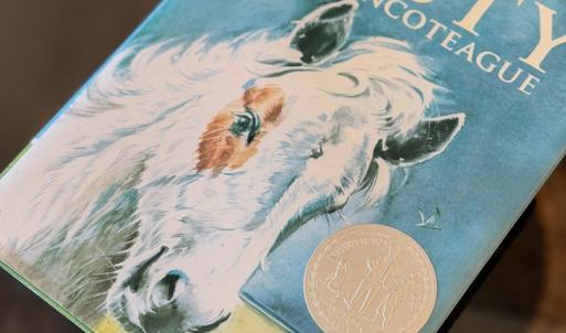 Photo #26 of 5403 PEARL DR, CHINCOTEAGUE, VA 10.0 acres