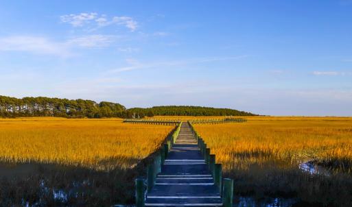 Photo #15 of 25323 OCEANVIEW COURT, ACCOMAC, VA 3.8 acres