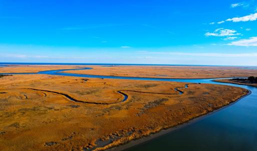 Photo #4 of 25323 OCEANVIEW COURT, ACCOMAC, VA 3.8 acres