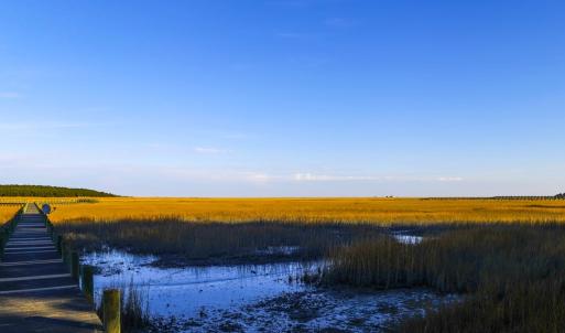 Photo #12 of 25323 OCEANVIEW COURT, ACCOMAC, VA 3.8 acres