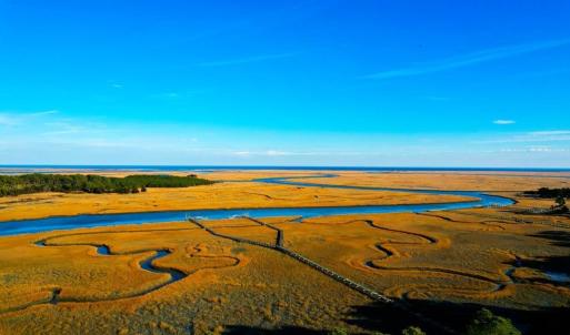 Photo #2 of 25323 OCEANVIEW COURT, ACCOMAC, VA 3.8 acres