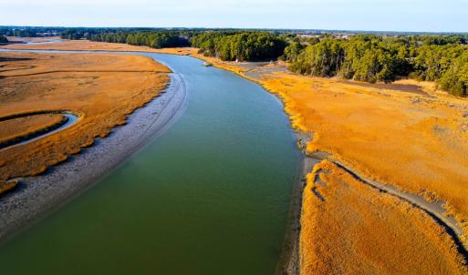 Photo #5 of 25323 OCEANVIEW COURT, ACCOMAC, VA 3.8 acres