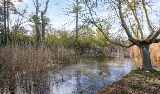 Photo #29 of 6498 CHURCH ST, CHINCOTEAGUE, VA 0.4 acres