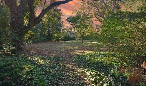 Photo #5 of 16367 COURTHOUSE RD, EASTVILLE, VA 1.8 acres