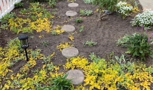 Gardens beginning to bloom