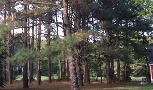 Photo #6 of * AZALEA LN, NEW CHURCH, VA 1.8 acres