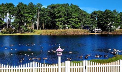 Photo #54 of 5342 HIBISCUS DR, CHINCOTEAGUE, VA 14,544.0 acres