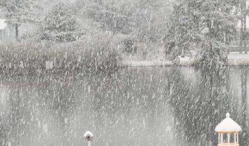 Photo #53 of 5342 HIBISCUS DR, CHINCOTEAGUE, VA 14,544.0 acres