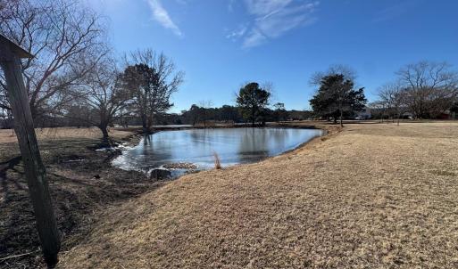 Photo #81 of 16229 FINNEY CREEK LN, ONANCOCK, VA 9.3 acres