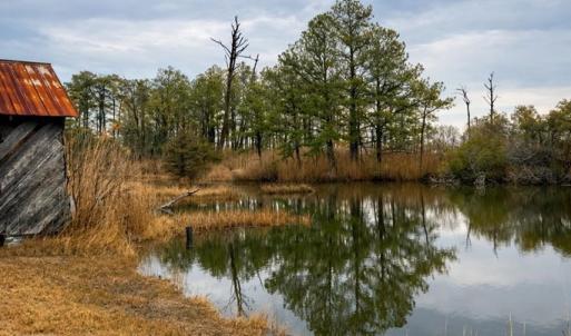 Photo #15 of 5572 MAIN ST, CHINCOTEAGUE, VA 0.2 acres