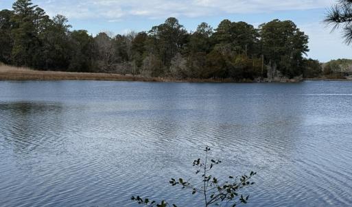 Photo #29 of 10388 HIGHLAND CT, EXMORE, VA 1.4 acres