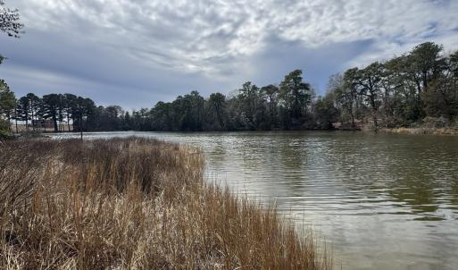 Photo #30 of 10388 HIGHLAND CT, EXMORE, VA 1.4 acres