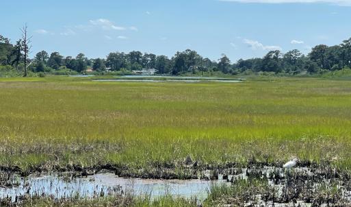Photo #53 of 7181 BUNTING RD, CHINCOTEAGUE, VA 0.1 acres