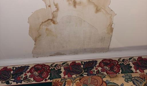 Photo #28 of 24346 MAXWELL STREET, PARKSLEY, VA 0.3 acres