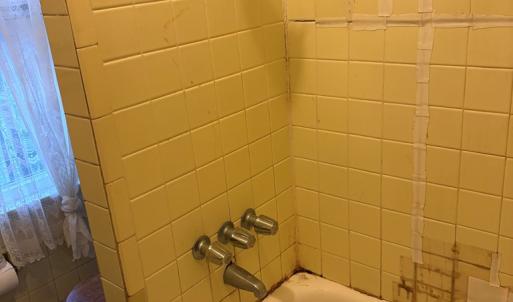 Photo #46 of 24346 MAXWELL STREET, PARKSLEY, VA 0.3 acres