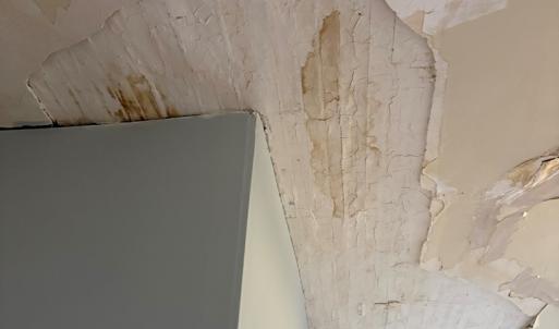 Photo #49 of 24346 MAXWELL STREET, PARKSLEY, VA 0.3 acres