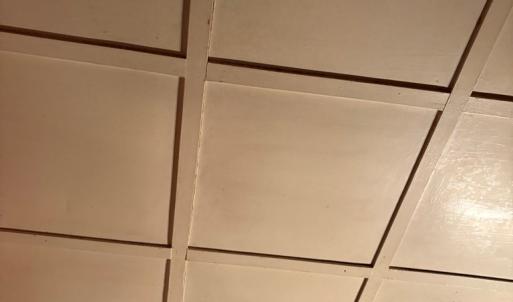 Photo #9 of 24346 MAXWELL STREET, PARKSLEY, VA 0.3 acres