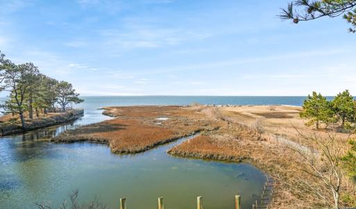 Photo #47 of 4443 SHADY LN, CHINCOTEAGUE, VA 1.5 acres