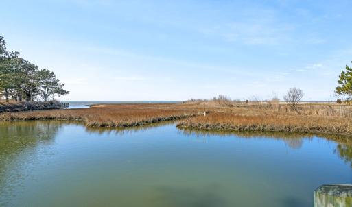 Photo #72 of 4443 SHADY LN, CHINCOTEAGUE, VA 1.5 acres