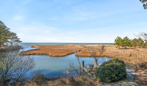 Photo #74 of 4443 SHADY LN, CHINCOTEAGUE, VA 1.5 acres