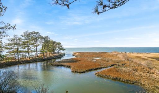 Photo #48 of 4443 SHADY LN, CHINCOTEAGUE, VA 1.5 acres