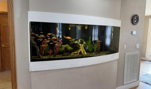 Back House Fish Tank