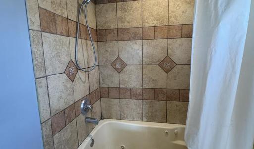 Back House Primary Bathroom