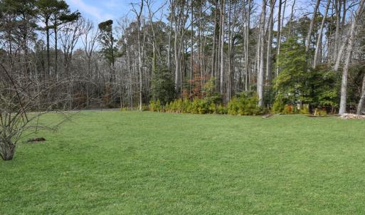 Photo #9 of 3560 CAPTAINS CORRIDOR, GREENBACKVILLE, VA 10,500.0 acres